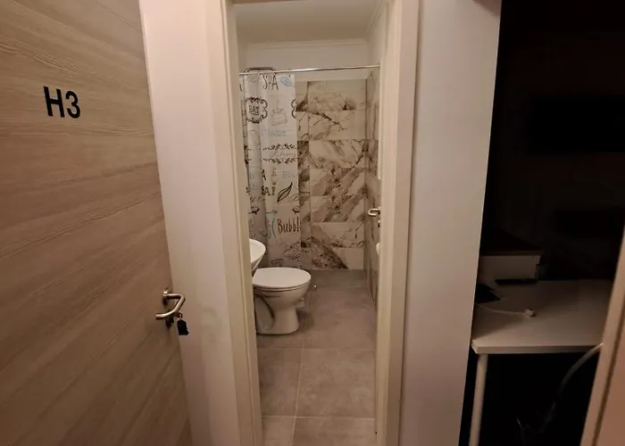 Alex - Tocxan Ug Magdeburg